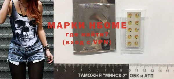 шишки Абаза