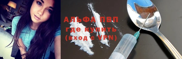 шишки Абаза