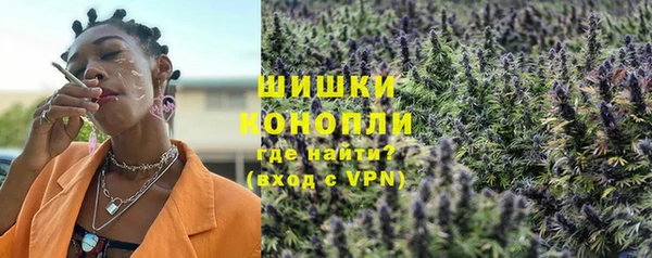 шишки Абаза