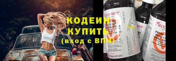 шишки Абаза