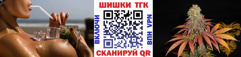 где купить наркоту  Сурск  Каннабис конопля 